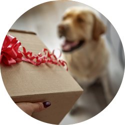 Accent-gift-boxes