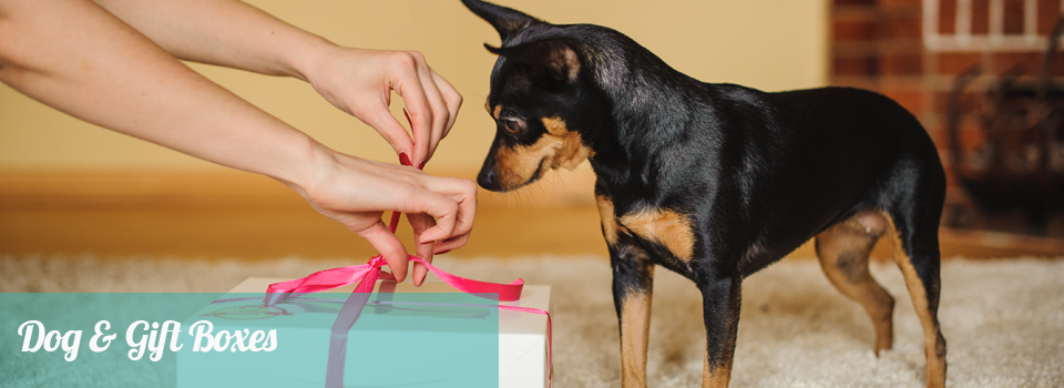 gift-boxes